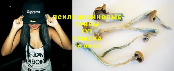 круглые Абаза