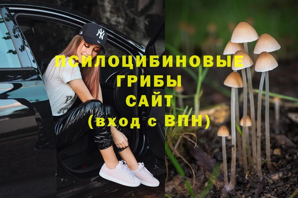 метадон Алзамай