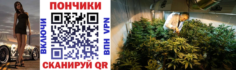 МАРИХУАНА OG Kush  сайты даркнета телеграм  Хадыженск 